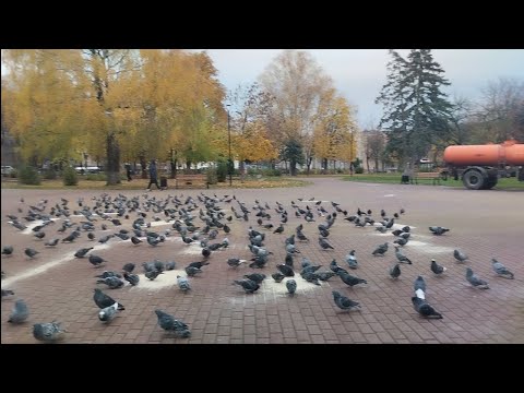 Видео: СЕГОДНЯ ДЕНЬ ГУЛЬНОГО ГУЛИ!🎉ОБЗОР НА ПЛОЩАДЬ ПОБЕДЫ
