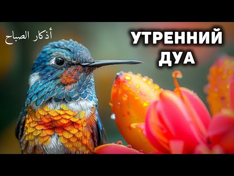 Видео: УТРЕННИЙ ДУА أذكار الصباح ЗАЩИТИТЬ ВАС ВЕСЬ ДЕНЬ | СЛУШАЙТЕ КАЖДОЕ УТРО!