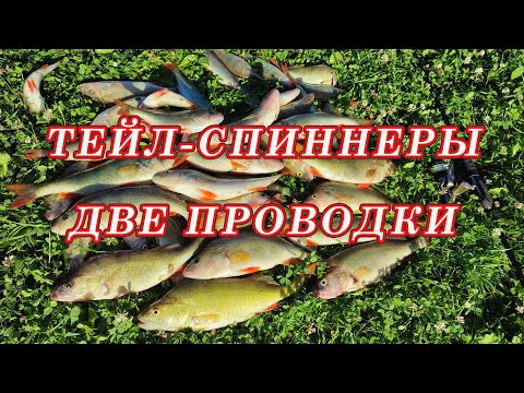 Видео: Тейл спиннеры  ДВЕ ОСНОВНЫХ ПРОВОДКИ!  Влияние цвета на поклёвки!