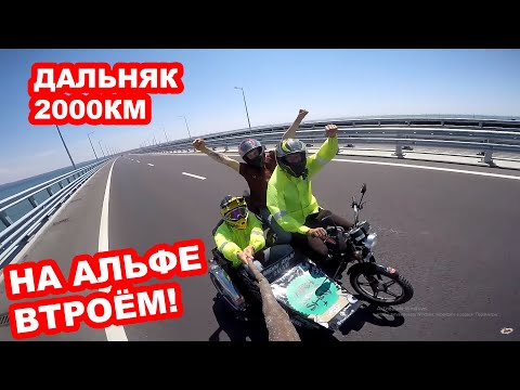 Видео: Дальняк на АЛЬФЕ ВТРОЁМ до моря 2000км!