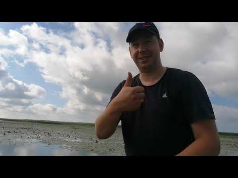 Видео: Карась Куршский залив Лука