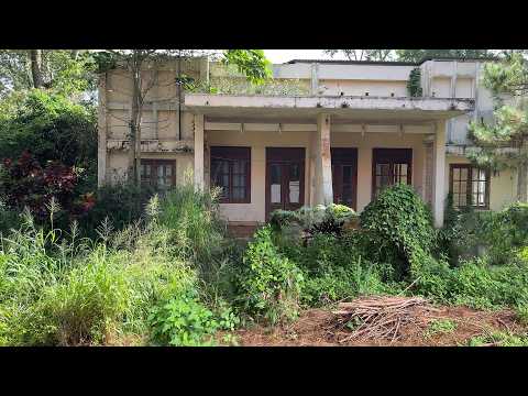 Видео: Самый ЖУТКИЙ заброшенный дом, который мы когда-либо убирали — деревья поглотили его