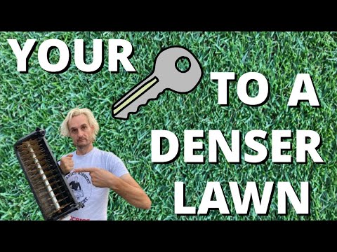 Видео: Более плотный газон ГАРАНТИРОВАННО \\👍🏻ВЕРТИ-СТРИЖКА 👌🏻