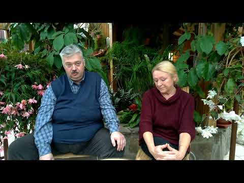 Видео: Способы получения гибридов