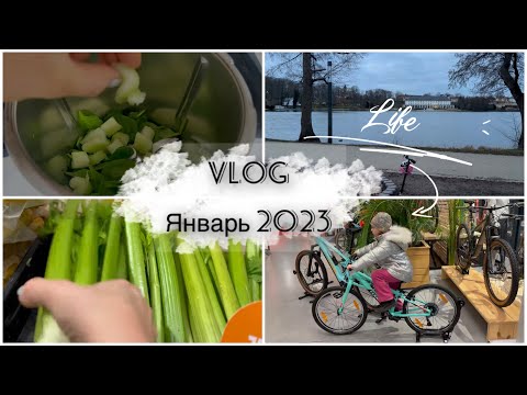 Видео: VLOG 01.2023  5 лет в Германии