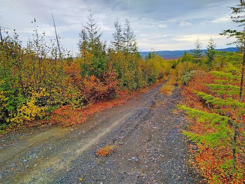 Видео: 15-й день.  Улан-Удэ  -  Магадан. "Старая Колыма"