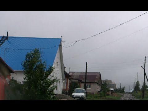 Видео: Лебяжье проездом