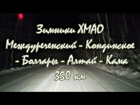 Видео: Зимники ХМАО/Приемка зимней дороги/Междуреченский/Кондинское/Болчары/Алтай/Кама