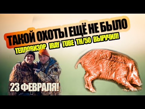 Видео: ОДНА ИЗ ЛУЧШИХ ОХОТ НА КАБАНА/ПРАЗДНИК В ЛЕСУ