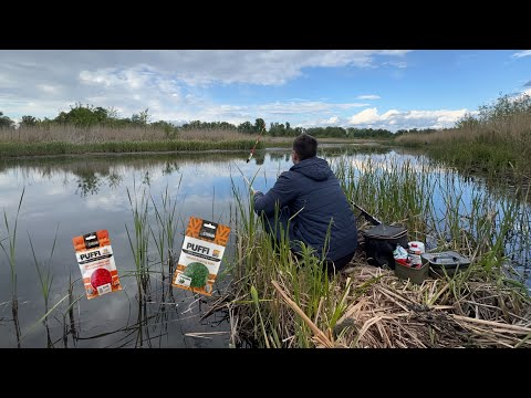 Видео: Рибалка на ПЕРО🪶🪶 клює ЛИН ,КАРАСЬ ,КОРОП‼️Рибалка 2025