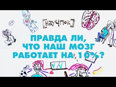 Видео: Правда ли, что наш мозг работает на 10%? - Научпок