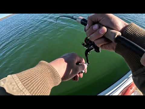 Видео: намрын загасчлал - архангай - өгий нуур #3 #gopro  #fish #fishing