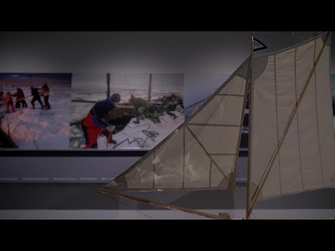 Видео: Арктическая лихорадка: кураторская экскурсия по выставке «Курс на Север»