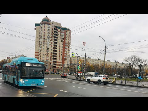 Видео: МАЗ-203.948 номер 38425, маршрут 288 (29.10.2025)