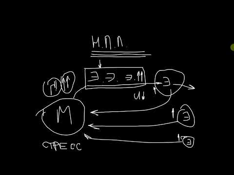 Видео: Почему нарушение пищевого поведения ведет к одиночеству, нищете и неудачам?