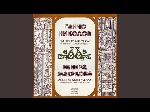 Видео: Василке, млада невесто