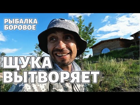Видео: ЩУКА ВЫТВОРЯЕТ 🎣🎣🎣 #РЫБАЛКА  #БОРОВОЕ  🎣🎣🎣
