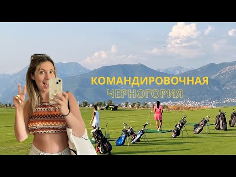 Видео: Законно ли вообще работать в Черногории?!🤌🏻