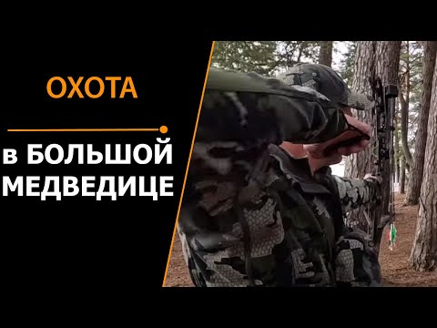 Видео: ОХОТА В БОЛЬШОЙ МЕДВЕДИЦЕ