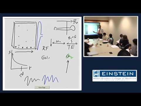 Видео: Знакомство с МРТ: частотное кодирование (22 из 56)