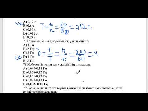 Видео: шыбындар әлемінде физикалық есептер шешу жолы, контексті есептер. #физика #ент #контекст
