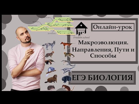 Видео: Макроэволюция. Направления, Пути, Процессы для ЕГЭ 2023 |ЕГЭ БИОЛОГИЯ|Freedom|