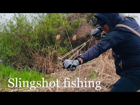 Видео: Slingshot Fishing online, Как ловить на рогатку