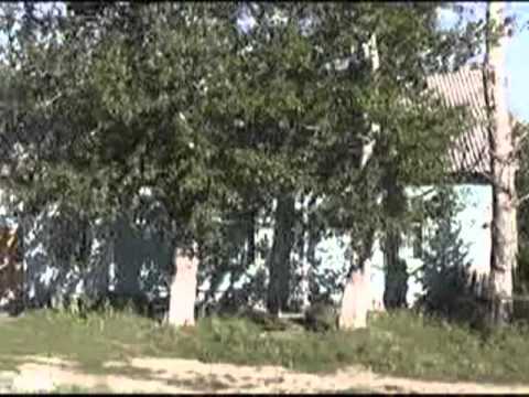 Видео: Прогулка по Кенюхово 2013 г. Видеоролики Зубко Сергея Алексеевича.