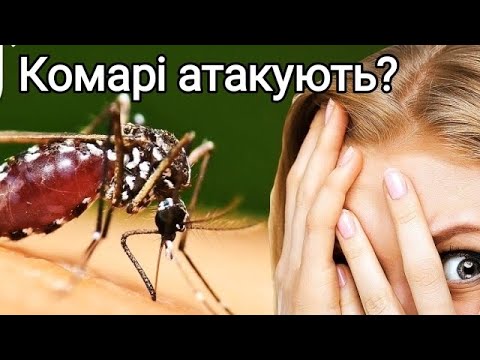 Видео: Як позбутися комарів? 7 рослин від москітів.