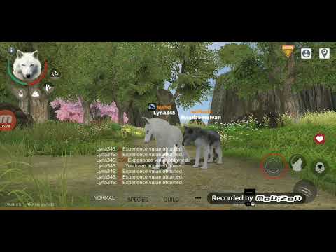 Видео: WOLF ONLINE 2 КАК ЗАВЕСТИ ВОЛЧАТ