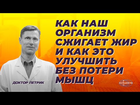 Видео: Как наш организм сжигает жир и как это улучшить без потери мышц