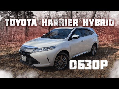 Видео: Toyota Harrier Hybrid AVU65 Обзор | Санкции