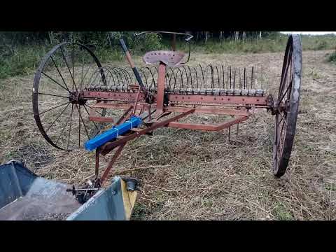 Видео: Мотоблок и конные грабли. Расчищаю новый сенокосный участок. Часть 1.