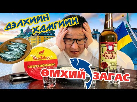 Видео: ДЭЛХИЙН ХАМГИЙН ӨМХИЙ ЗАГАСЫГ ШВЕДЭД АМТАЛЛАА 🇸🇪🐟💩🥂😜