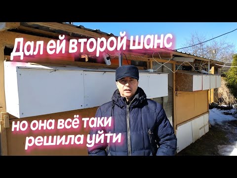 Видео: 2 ГОДА НАЗАД КРОЛЬЧИХА СЪЕЛА КРОЛЬЧАТ ПОЭТОМУ КРОЛЬЧИХУ В ЗАБОЙ Кролики содержание и разведение