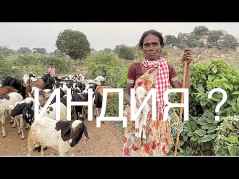 Видео: Куда я прилетела ... | Моя Родина Земля