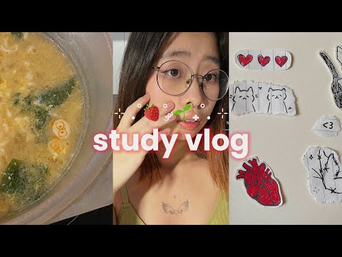 Видео: 18. [ study vlog ] 🍓подготовка в егэ 2025 / обществознание / химия