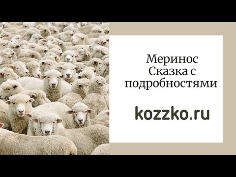 Видео: Меринос и его производство