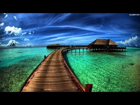 Видео: Айкындооч мүчөлөрдүн түшүндүрмө мүчөлөрү. 9 класстар(орус) үчүн