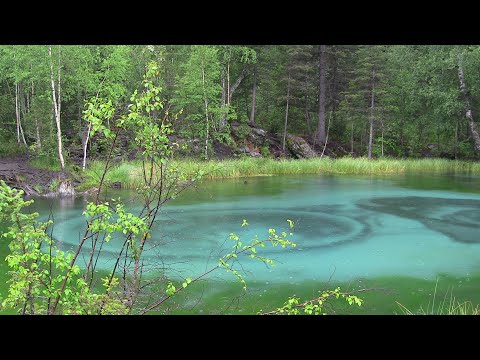 Видео: Алтайская кругосветка 9-18.07.2020 часть 2