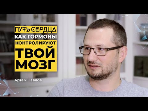 Видео: Узнай, как гормоны контролируют твой мозг / Артем Павлов / ПУТЬ СЕРДЦА #21