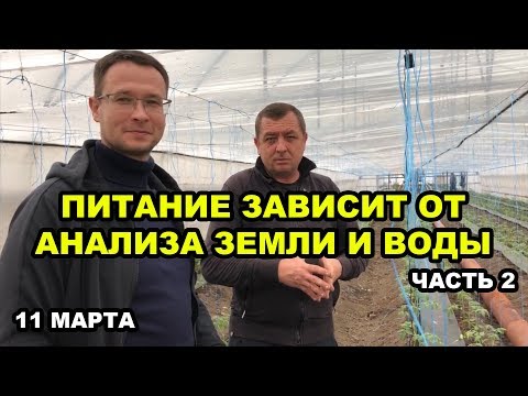 Видео: Томат. Питание зависит от анализа земли и воды. 2 часть