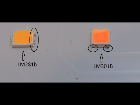 Видео: Quantum Board. В чем отличия и откуда такой разброс цен
