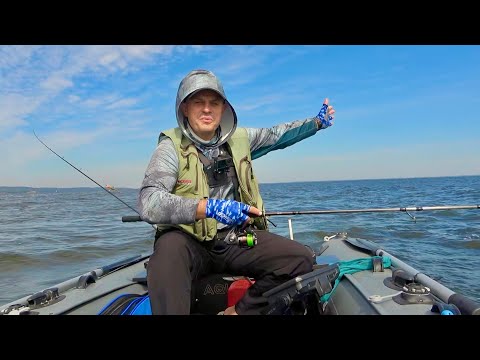Видео: Відкрили навігацію! В пошуках хижака! Рибалка на морі 