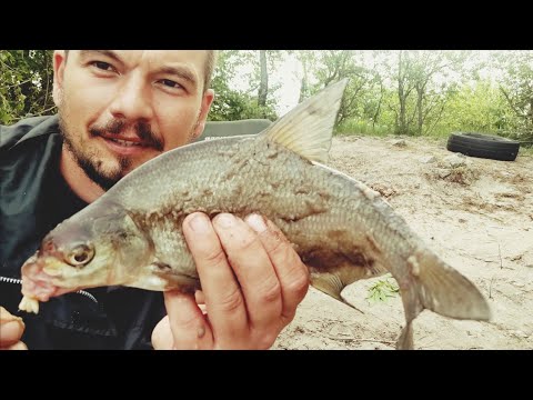 Видео: Що можна зловити на фiдер за 3 години на Днiпрi в Києвi