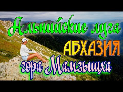 Видео: Джип-тур на вершину горы Мамзышха  АБХАЗИЯ  Альпийские луга