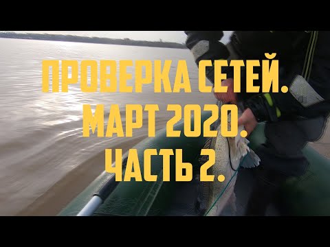 Видео: Проверка сетей, март 2020, часть 2 | Fishing with nets in Finland