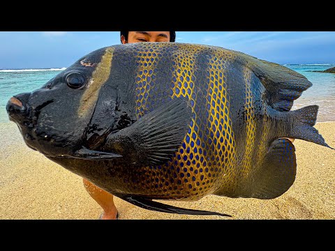 Видео: Поймал рыбу, которая определенно выглядит ядовитой, так давай ее есть!