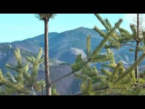 Видео: Соларно светилище Караджов камък