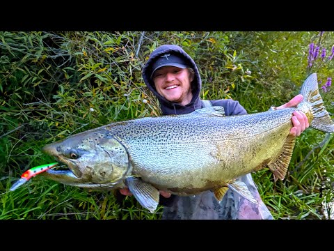 Видео: Лосось на каждом забросе?! - БЕЗУМНЫЙ клёв только на приманки!